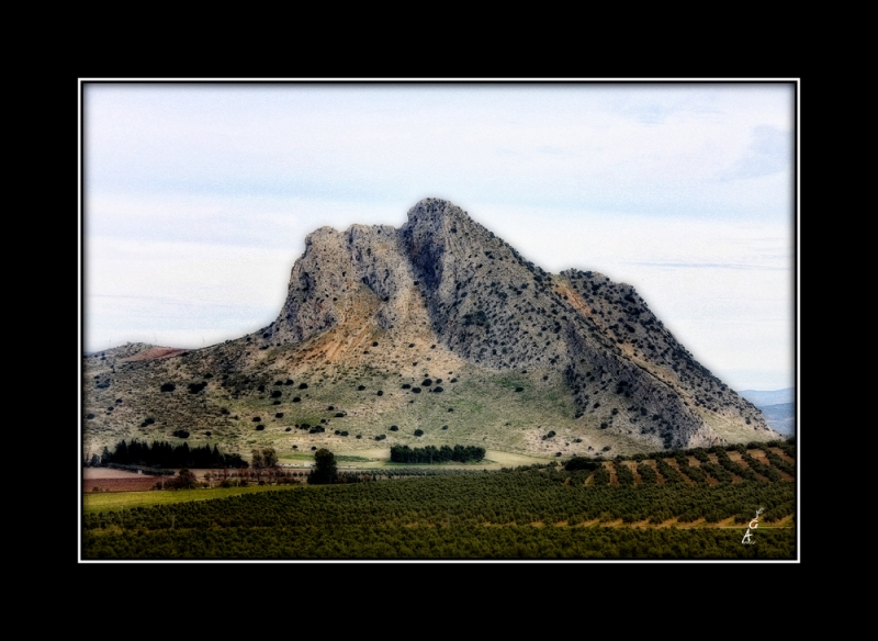 Cabeza de Sioux en carretera a Cordoba