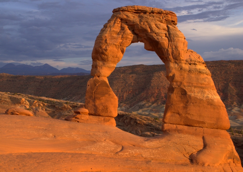 Tower Arch