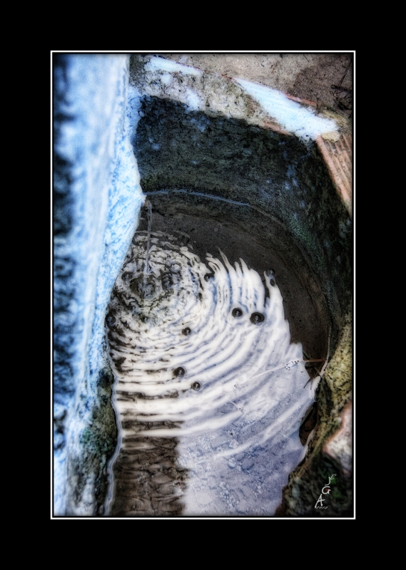 La fuente de la vida