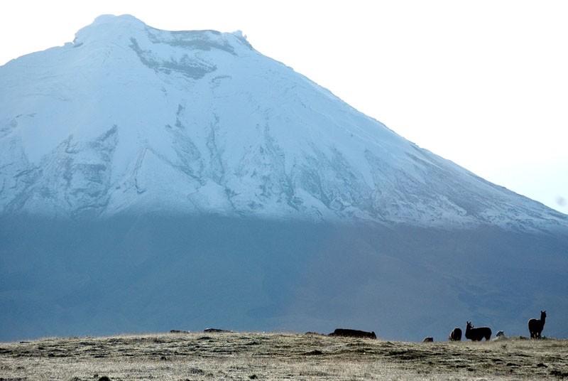 VOLCAN COTOPAXI