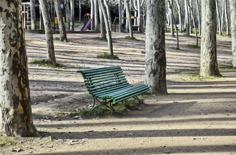 Parc de Sant Salvador