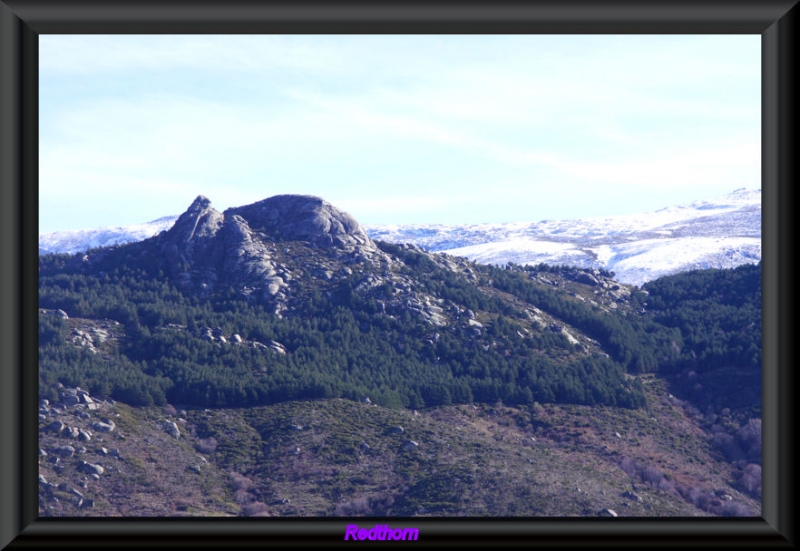 Montaas nevadas