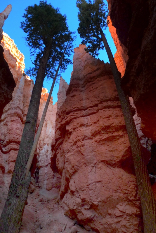 entre hoodoos