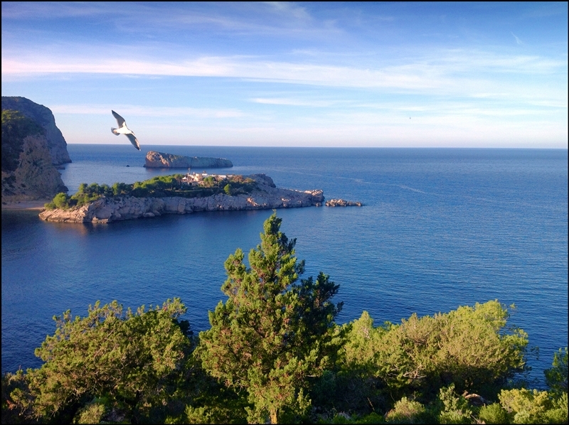 vista mirador