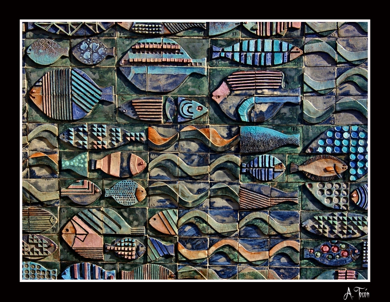 Peces