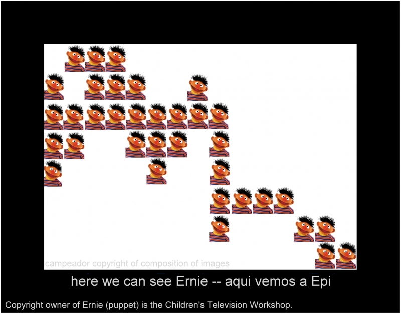 here we can see Ernie -- aqui vemos a Epi.  Composicin: Mario Cid.