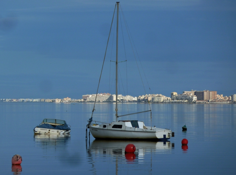 En la maana del Mar Menor 14