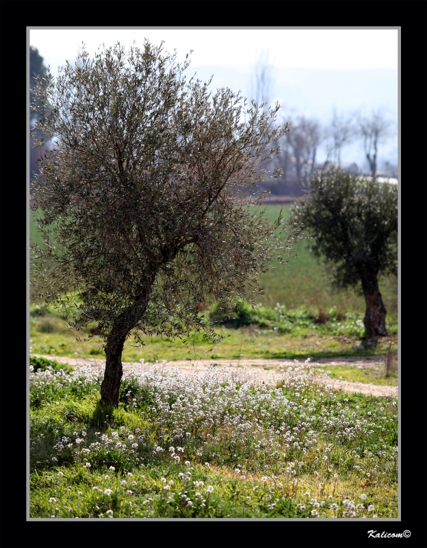 AL SOL DE INVIERNO-2