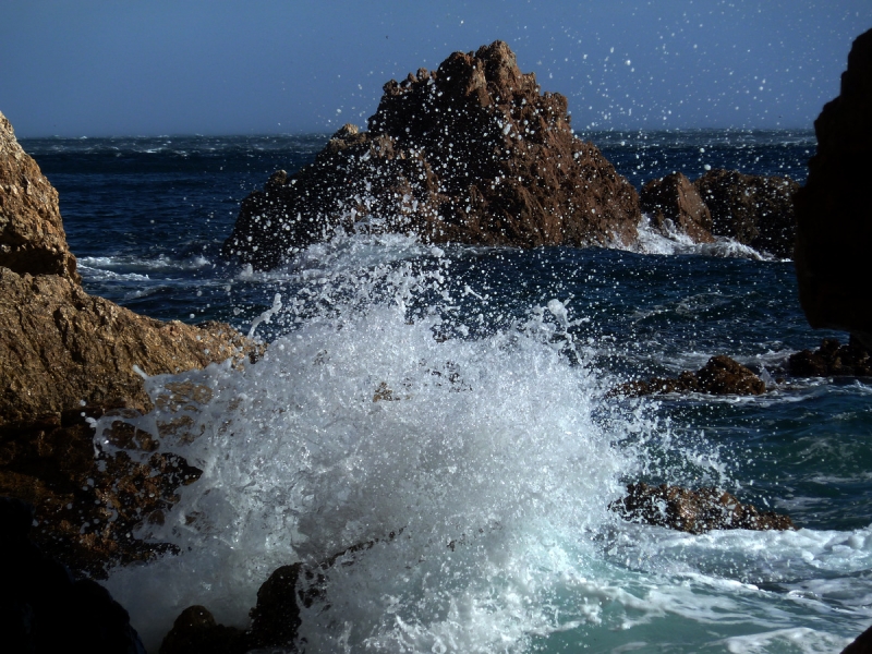 espuma de mar