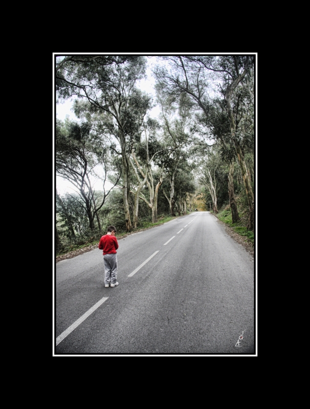 Entrando en el bosque