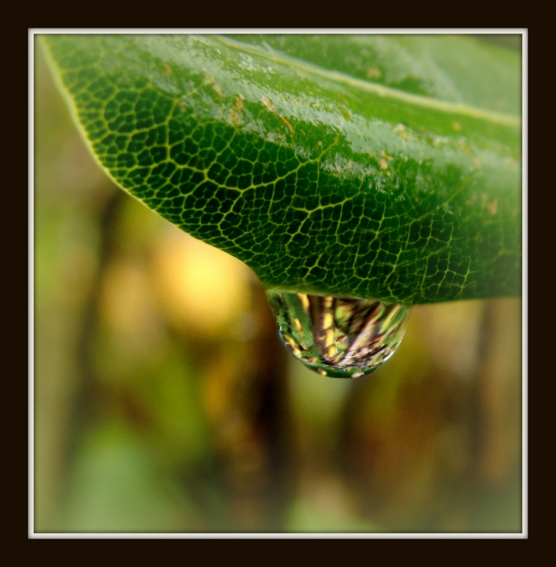 gota de lluvia