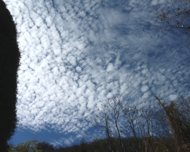 CIELO DE MEXICO