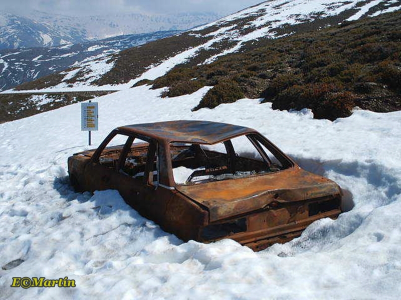 Nia....dnde dejamos el coche?