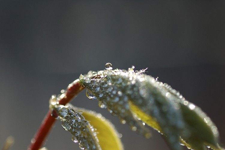 Esferas de agua