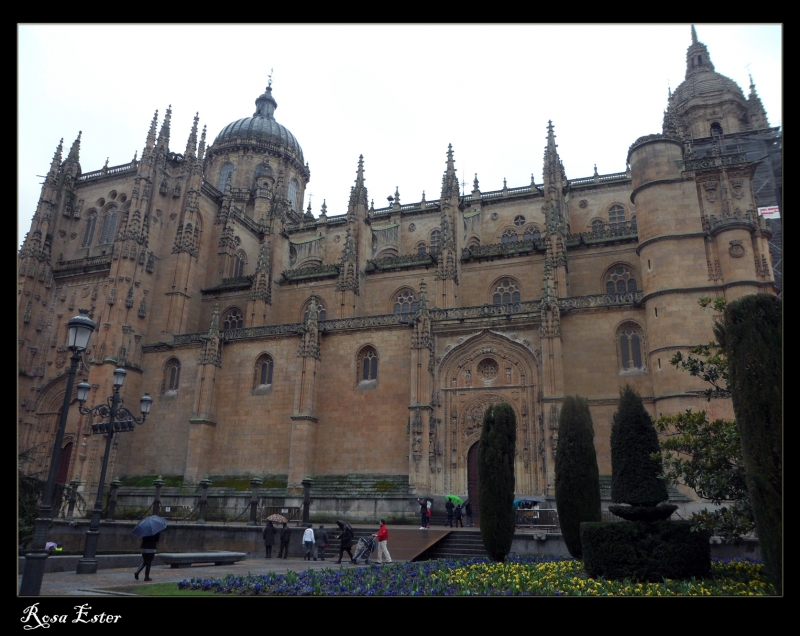 Catedral de Salamanca