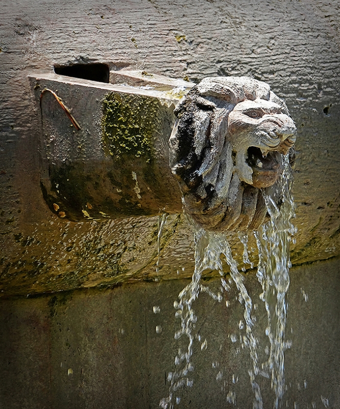 EN LA FUENTE.......