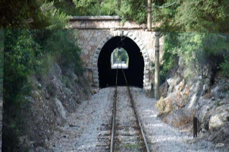 Entrada y salida