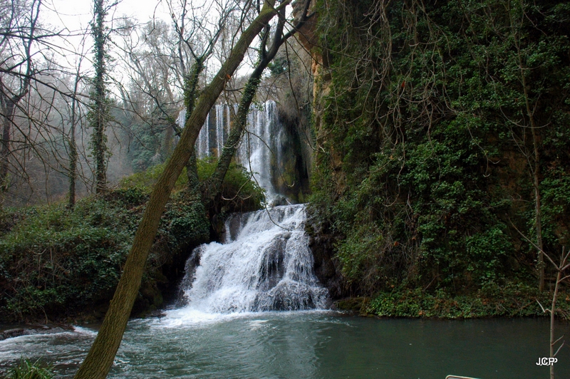 El parque