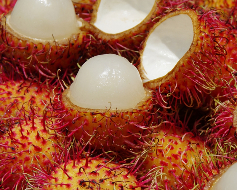 RAMBUTAN (FRUTA)