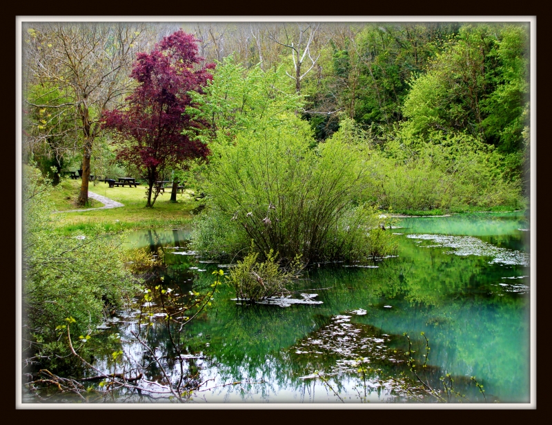 Nacimiento del Ebro