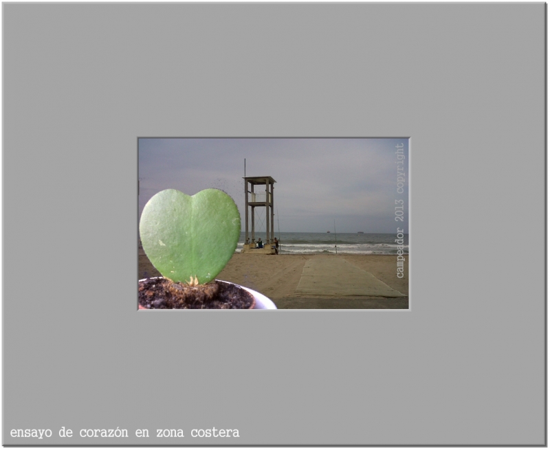 ensayo de corazn en zona costera. Photography: MARIO CID (Campeador).