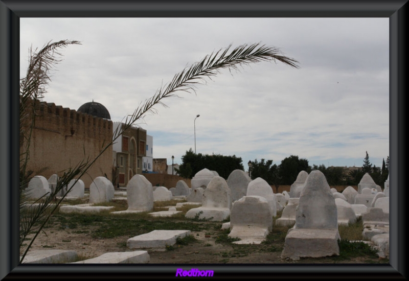 Un cementerio tunecino