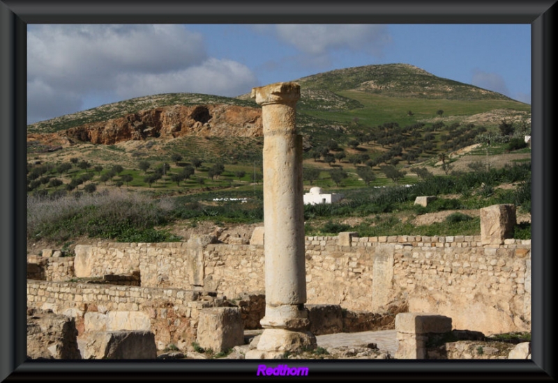 Columna romana frente a la campia tunecina