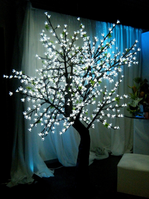 Arbol de brillo