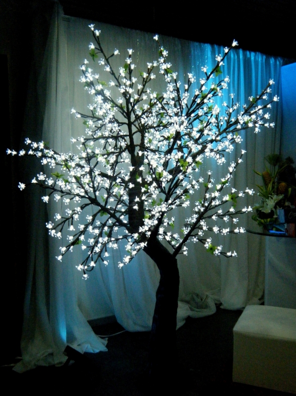 Arbol de brillo