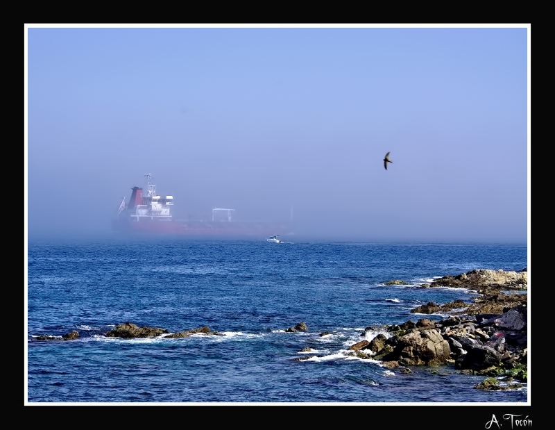 Atrapado en la niebla