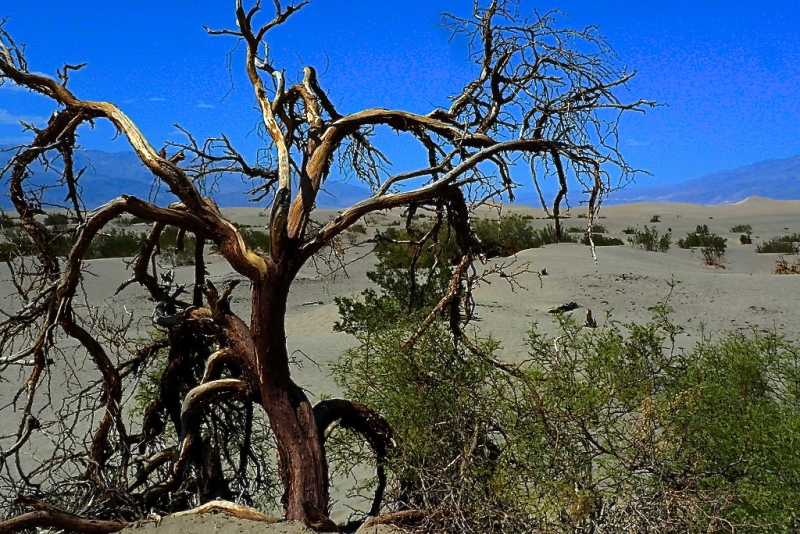 Death Valley