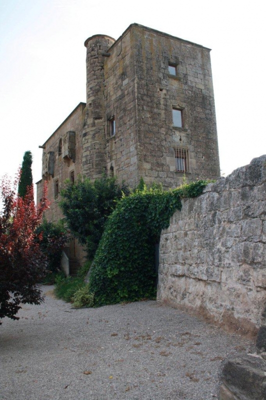 CASTELL DE RATERA