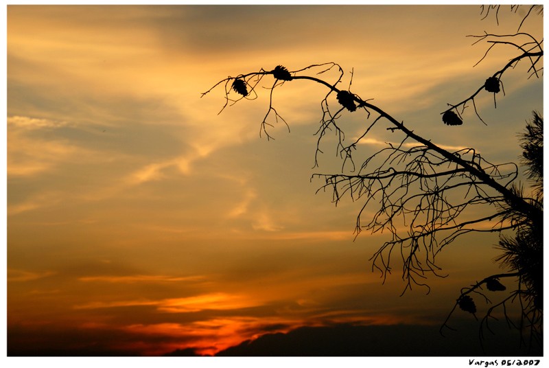 Atardecer