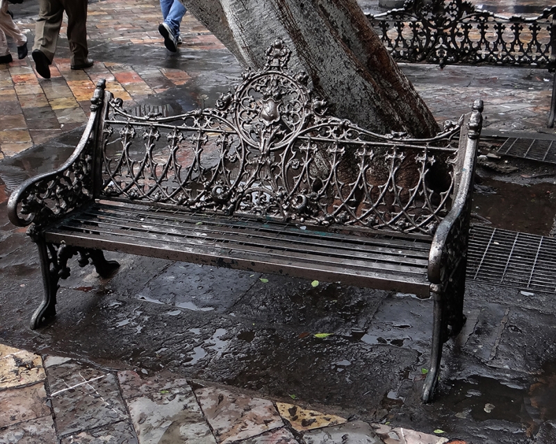 PASADA LA LLUVIA