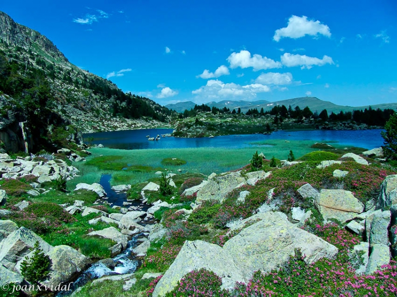 ESTANY FORCAT