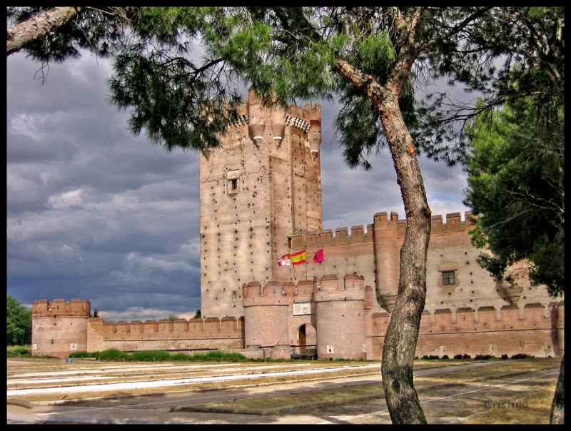 Castillo de la Mota