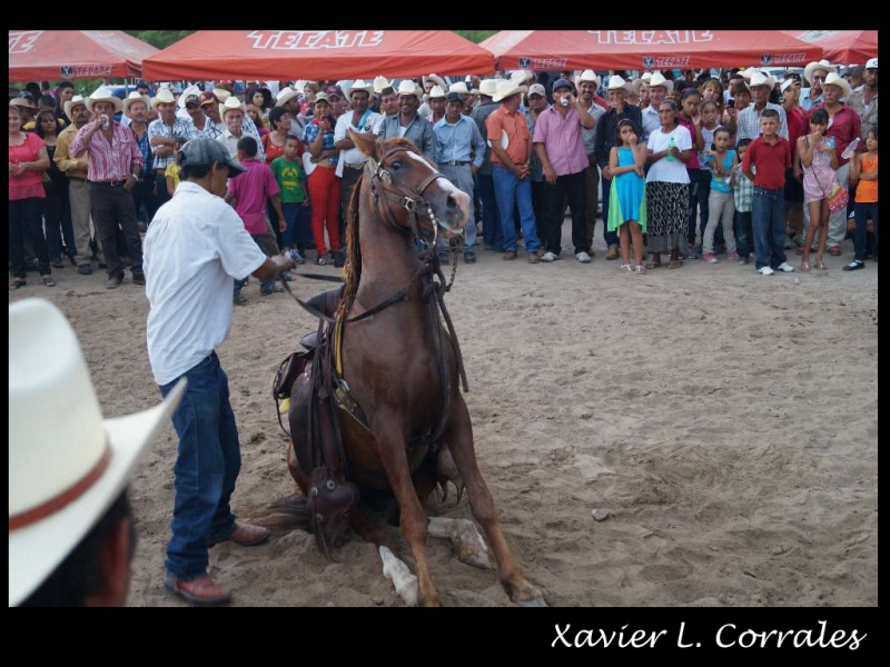 Presentacion