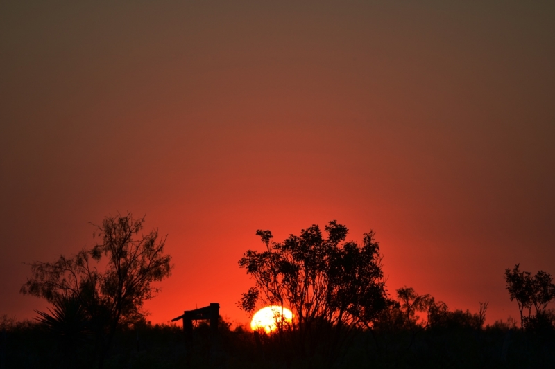 Rojo Amanecer