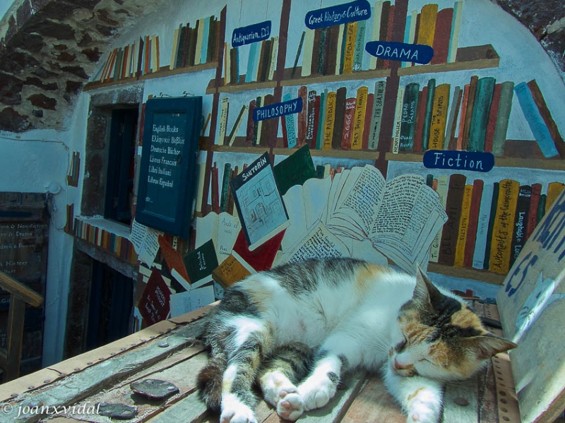 siesta literaria