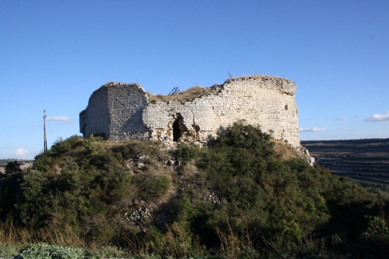 CASTELL DE LA GUARDIA LADA. 