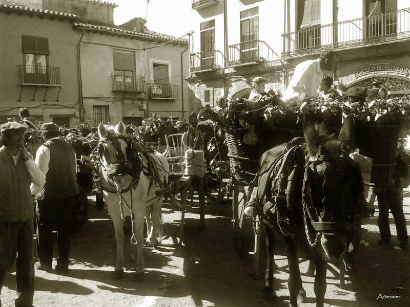 fiesta de la vendimia