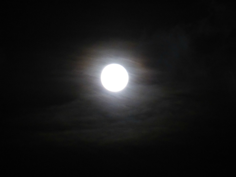 LUNA LLENA - Full Moon