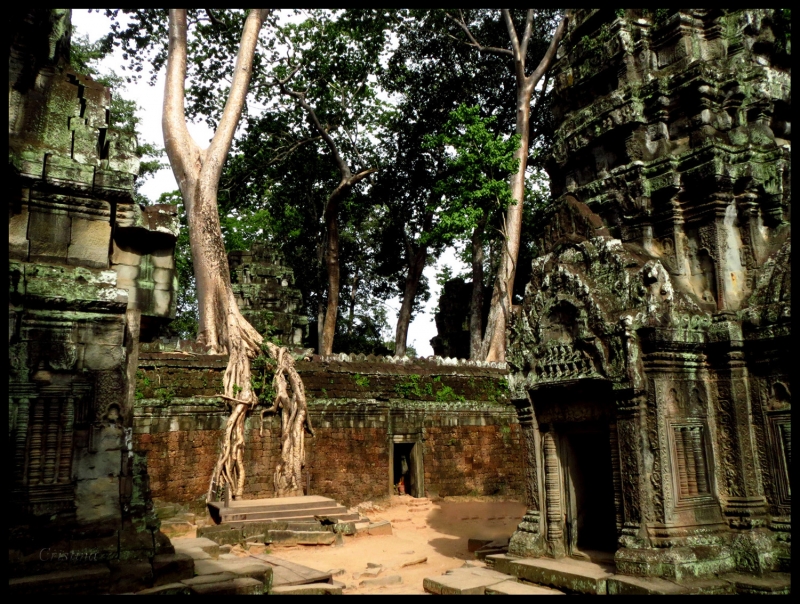 Ta Prohm