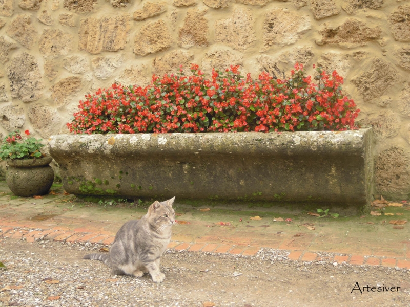 estampa toscana