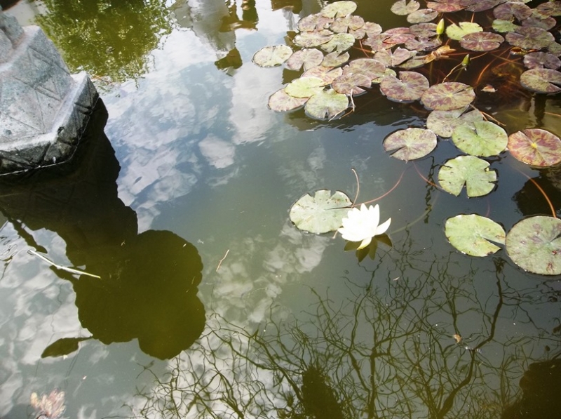 CIELO EN EL AGUA