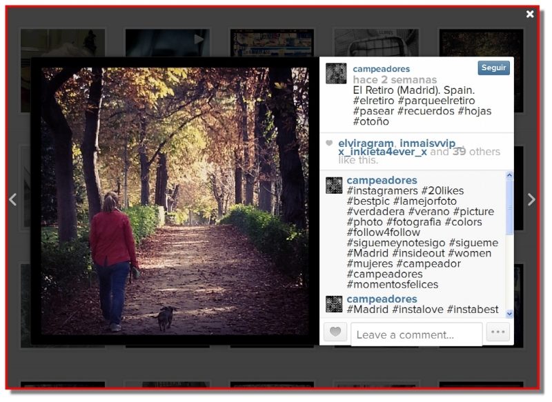 Paseo por El Retiro (Madrid - Espaa). photo by Campeador