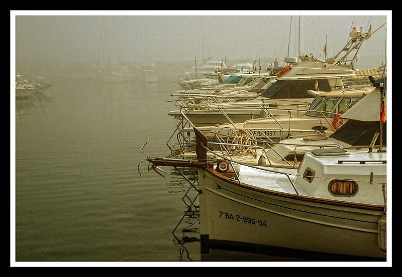 Potente Niebla