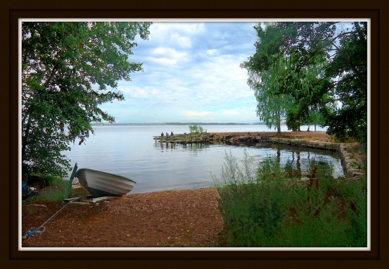 Un rincon del lago