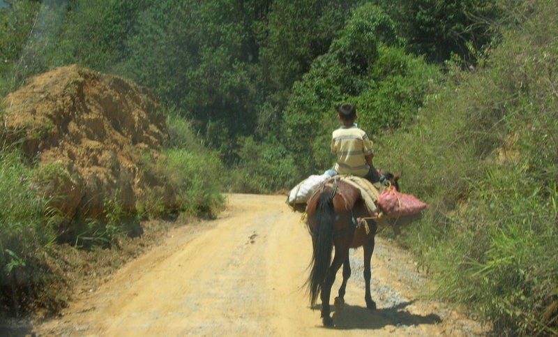 A PASO DE MULA