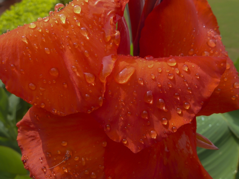 gotas de lluvia